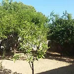 Country house Beloussi Zakynthos Kypseli