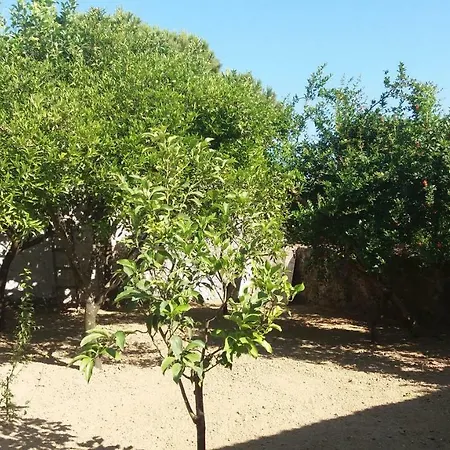 カントリーハウス Beloussi Zakynthos Kypseli