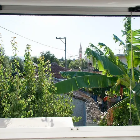 Beloussi Zakynthos *