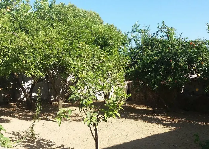 Kır Evi Beloussi Zakynthos Kypseli